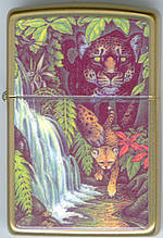 Mysteries Of The Forest