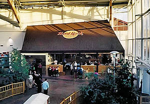 Hard Rock Cafe Oasis